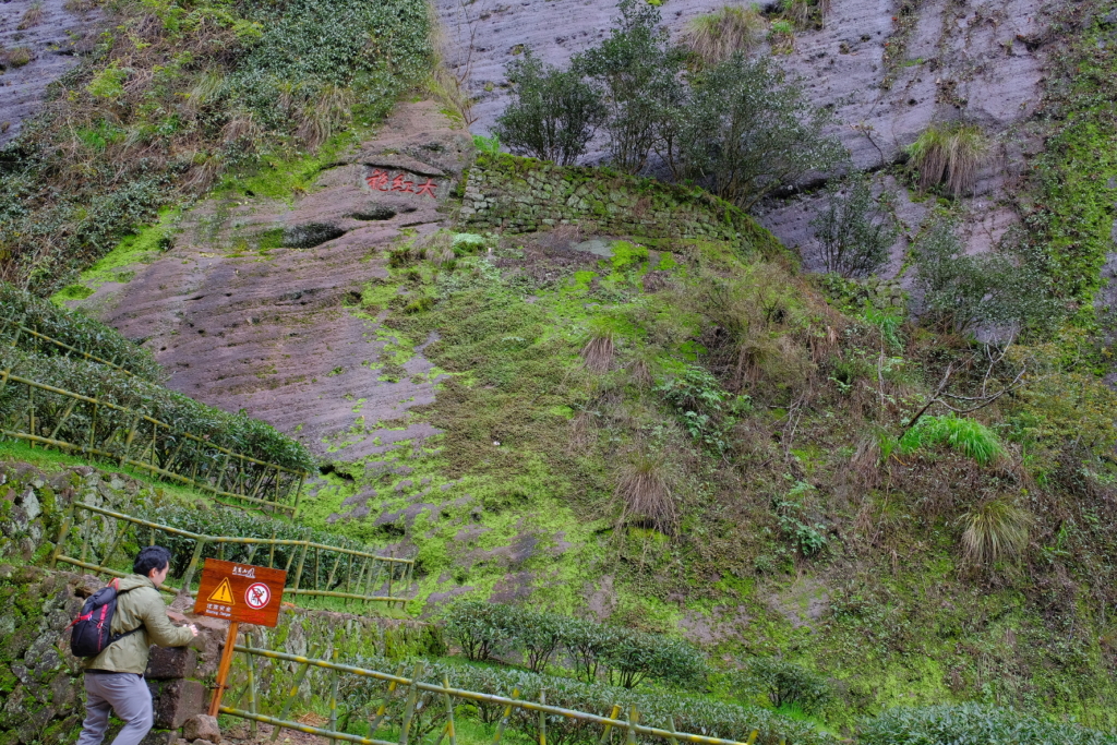 画像に alt 属性が指定されていません。ファイル名: IMG_0628-1-1024x683.jpg